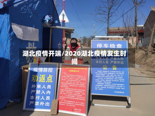 湖北疫情开端/2020湖北疫情发生时间-第1张图片