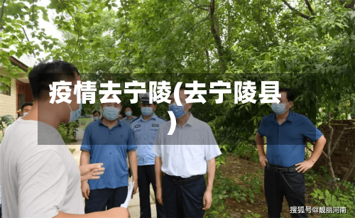 疫情去宁陵(去宁陵县)-第2张图片