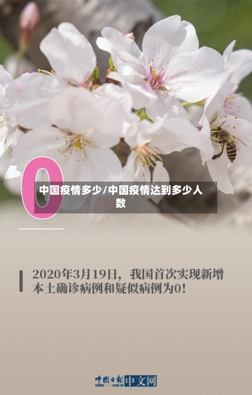 中国疫情多少/中国疫情达到多少人数-第2张图片