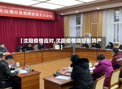 【沈阳疫情应对,沈阳疫情防控形势严峻】-第2张图片