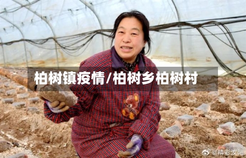 柏树镇疫情/柏树乡柏树村-第2张图片