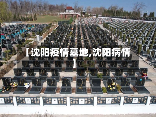 【沈阳疫情墓地,沈阳病情】-第2张图片