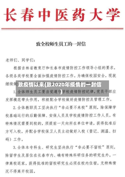 致疫情以来(致2020年疫情的一封信)-第2张图片