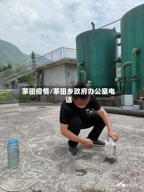 茅田疫情/茅田乡政府办公室电话-第1张图片