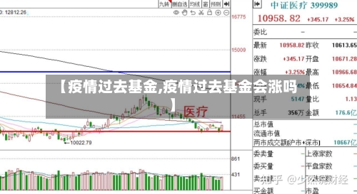 【疫情过去基金,疫情过去基金会涨吗】-第2张图片