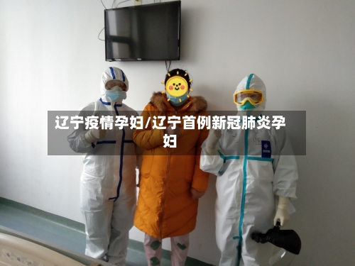 辽宁疫情孕妇/辽宁首例新冠肺炎孕妇-第1张图片