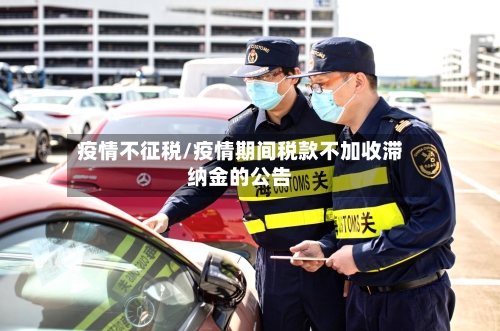 疫情不征税/疫情期间税款不加收滞纳金的公告-第2张图片