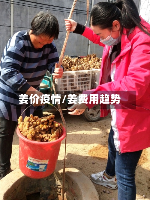 姜价疫情/姜费用趋势-第1张图片