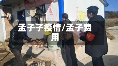 孟子子疫情/孟子费用-第2张图片