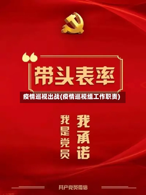 疫情巡视出战(疫情巡视组工作职责)-第1张图片