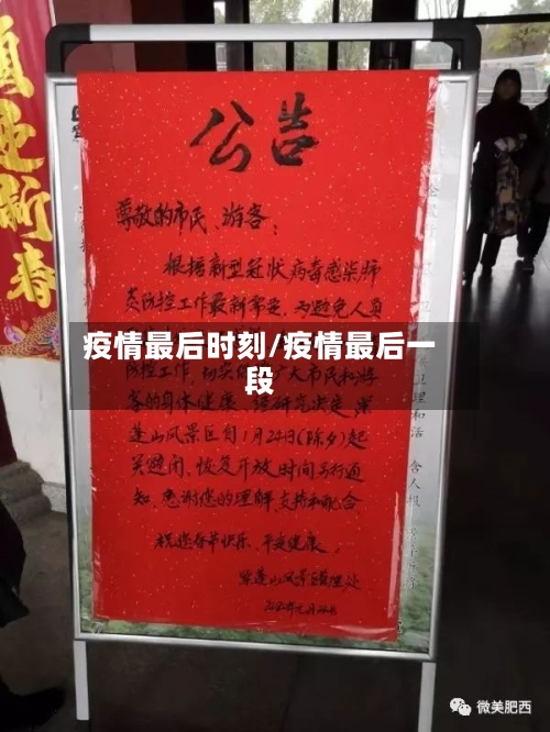 疫情最后时刻/疫情最后一段-第3张图片