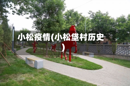 小松疫情(小松垡村历史)-第3张图片